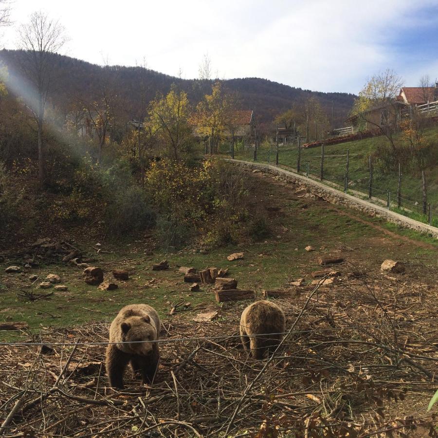 Guest House Gacka Rogic Otocac Bagian luar foto